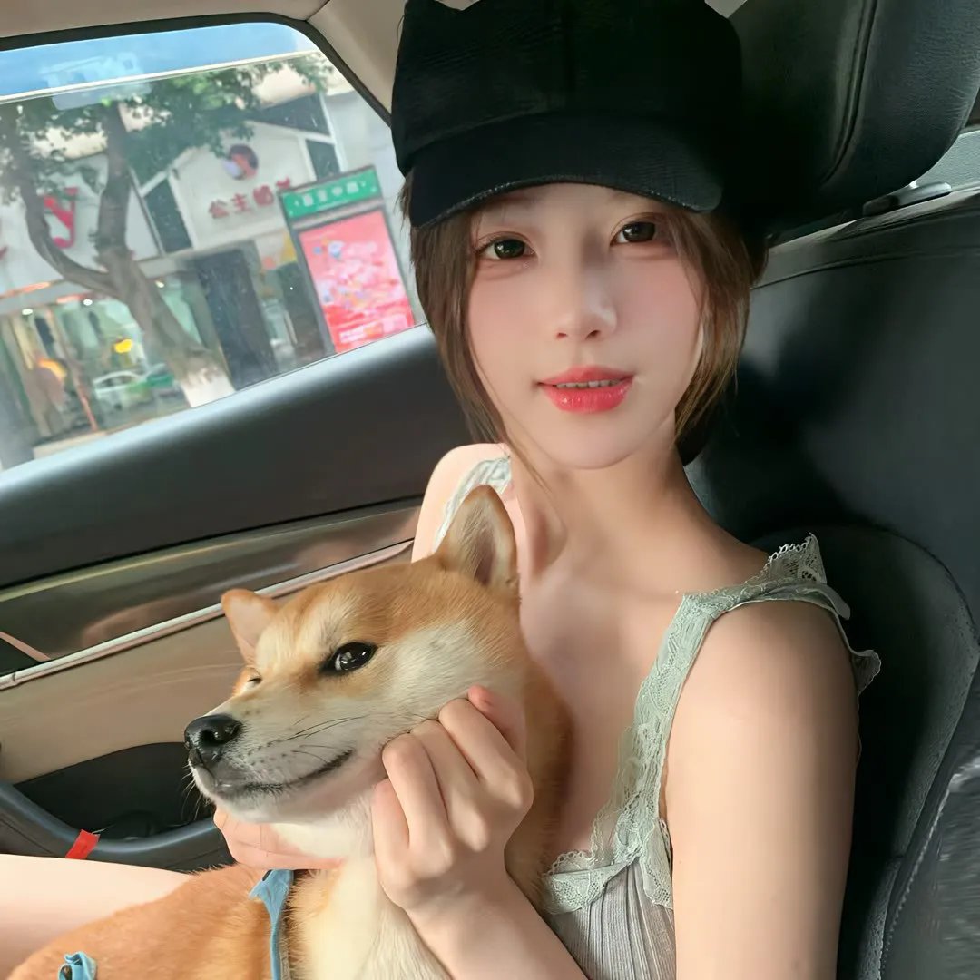 爱玩怪兽