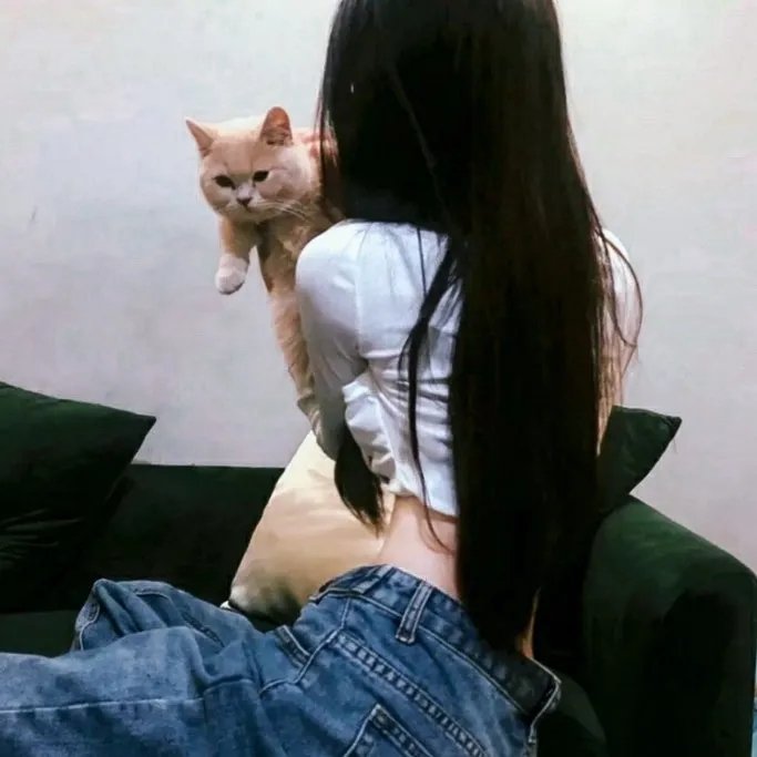 圣诞述异