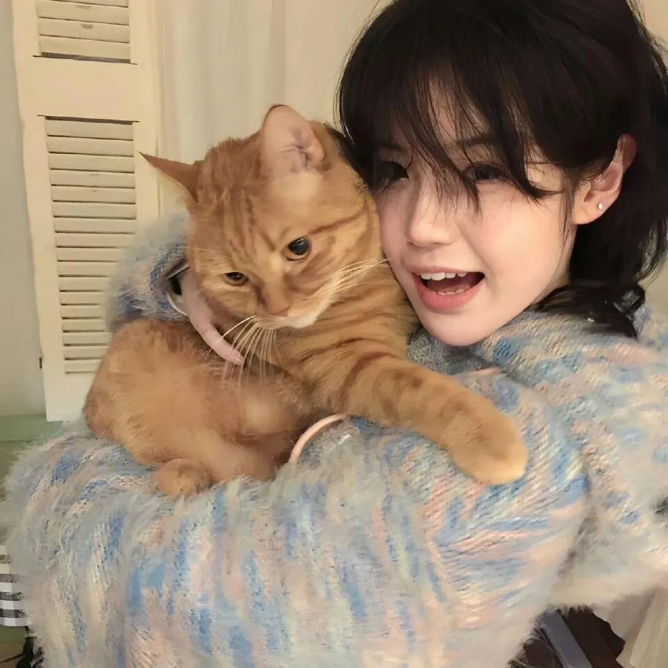 鱼缸里的生活